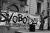 Click image to open!